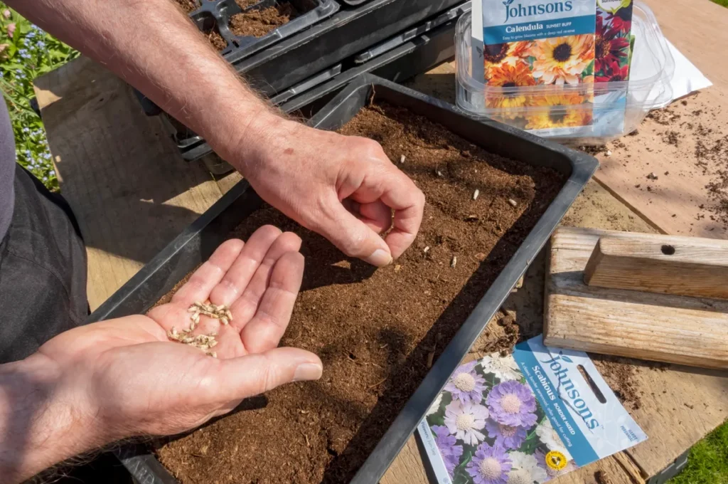 radovi u vrtu - ožujak
