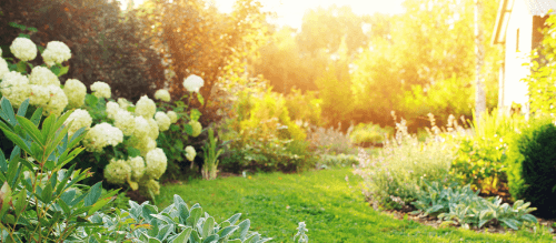 zaštita od sunca -slika