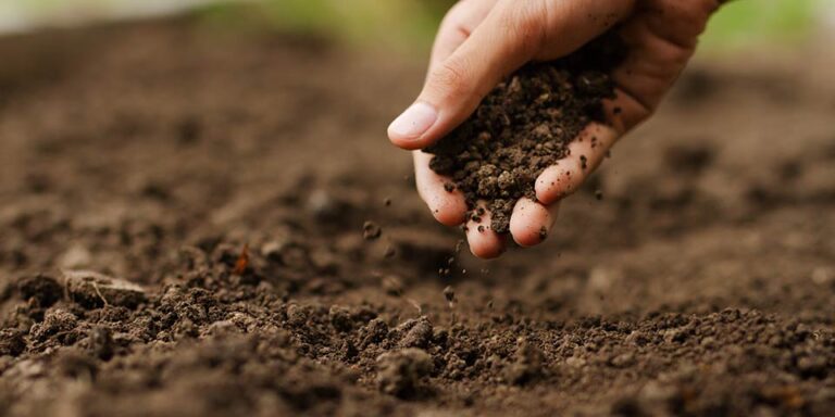 organska zaštita - naslovna slika
