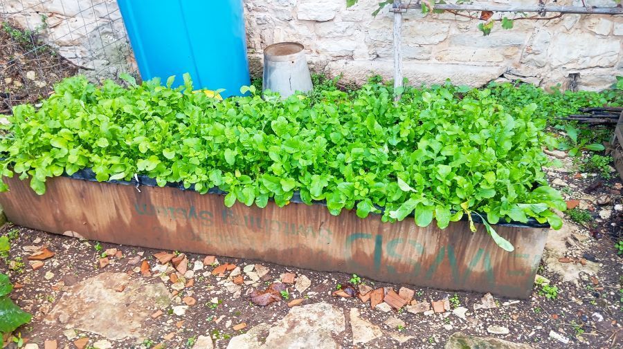 visoka gredica - radovi u vrtu